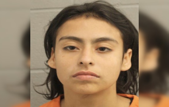 Woman Accused of Trespassing Arrested on Active Warrants in Harris County