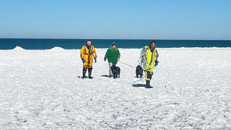 Woman and Pet Dog Rescued After Falling Through Ice in Caseville Township Beach