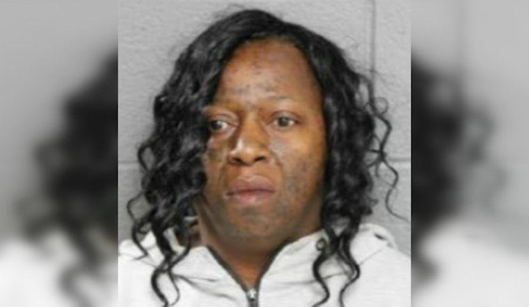 Woman Faces Felony Charges in South Side Chicago Stabbing Incident