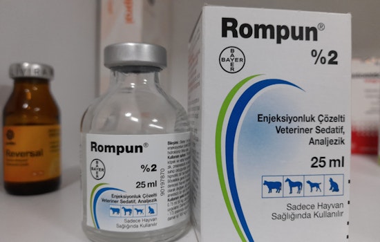 'Zombie Drug' Xylazine Gallops Through Overdose Statistics, Tennessee's New Nightmare
