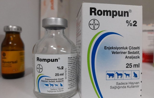 'Zombie Drug' Xylazine Gallops Through Overdose Statistics, Tennessee's New Nightmare