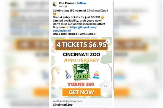Zoo Atlanta and Cincinnati Zoo Alert Visitors to Social Media Ticket Scams
