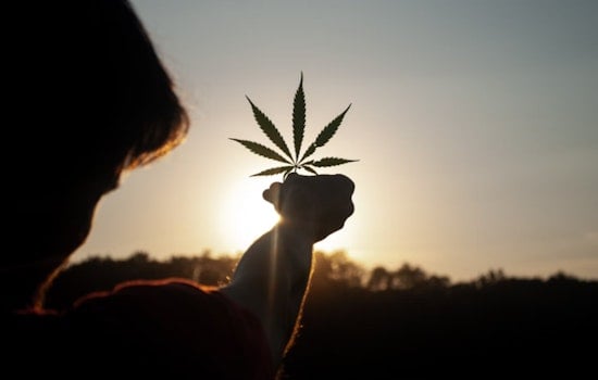 4/20 Celebrations Ignite National Dialogue on Cannabis Reform and Industry Challenges