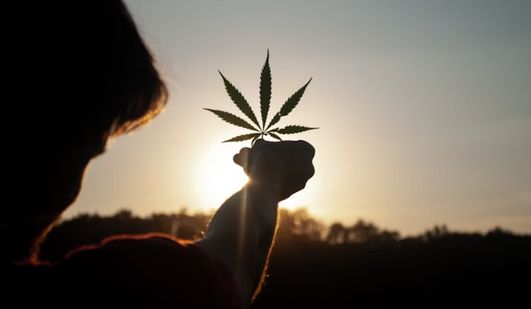 4/20 Celebrations Ignite National Dialogue on Cannabis Reform and Industry Challenges
