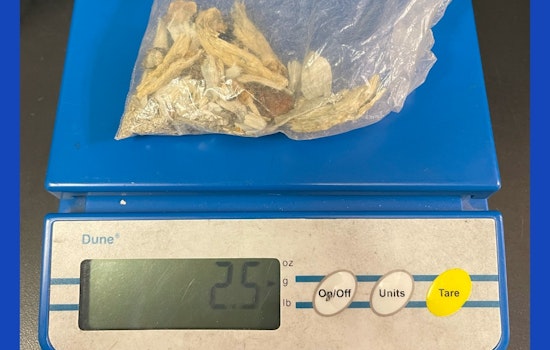 Union City Police Officer Discovers Weapons and Drugs in Vehicle; Driver Arrested on Outstanding Warrant