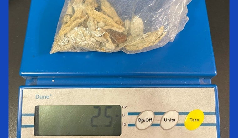 Union City Police Officer Discovers Weapons and Drugs in Vehicle; Driver Arrested on Outstanding Warrant