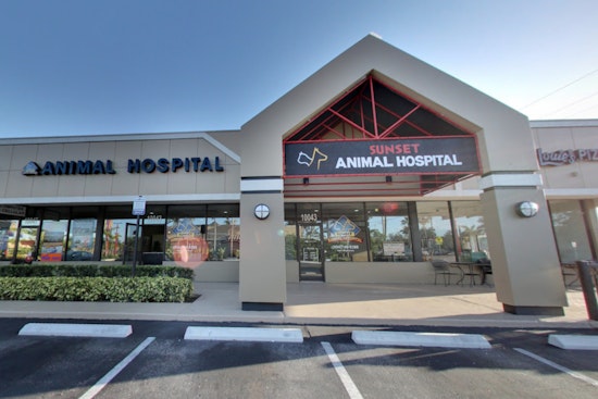 A Vehicle Crashes into Sunrise's Sunset Animal Hospital with No Reported Injuries