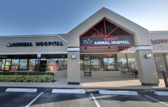A Vehicle Crashes into Sunrise's Sunset Animal Hospital with No Reported Injuries