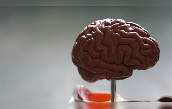 AI and Brain Scans at UT Austin May Predict Bipolar Disorder in High-Risk Youths