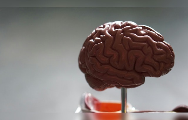 AI and Brain Scans at UT Austin May Predict Bipolar Disorder in High-Risk Youths
