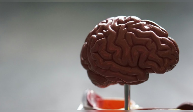 AI and Brain Scans at UT Austin May Predict Bipolar Disorder in High-Risk Youths