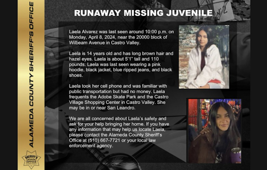 Alameda County Sheriff's Office Seeks Public Help in Finding Missing 14-Year-Old Laela Alvarez from Castro Valley