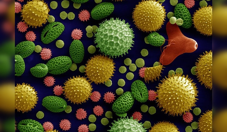 Allergy Seasons Lengthen Across the U.S., Las Cruces Hit by Significant 65-Day Increase