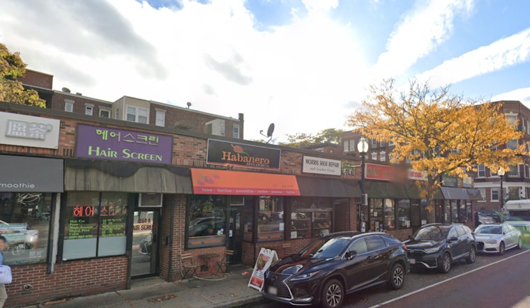 Allston Welcomes Gigantic Wonton, a Fresh Chinese Culinary Endeavor on Brighton Avenue