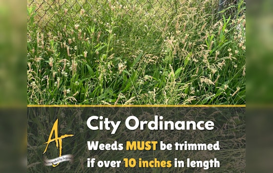 Apache Junction Calls for Community Action Against Overgrowth and Fire Hazards