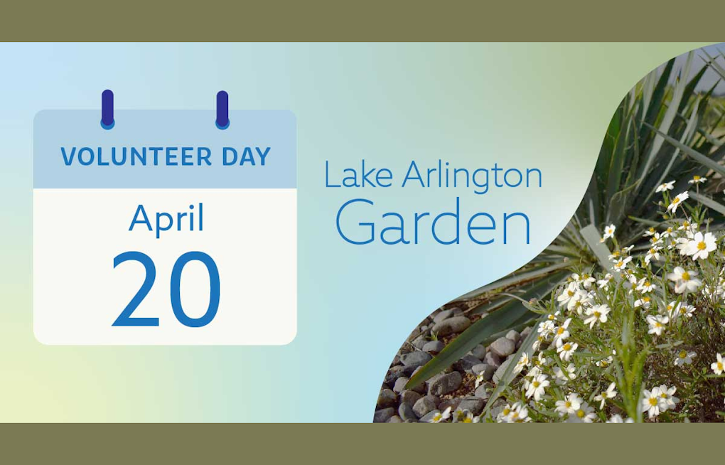 Arlington's Water Utilities Invites Community to Volunteer at Lake Arlington Native Plant and Pollinator Garden