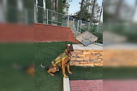 Armed Suspect Arrested After Wounding Heroic K9 Officer