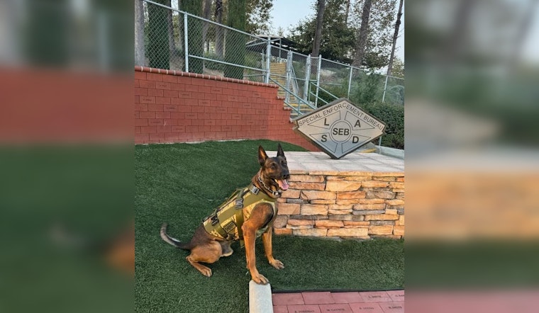 Armed Suspect Arrested After Wounding Heroic K9 Officer