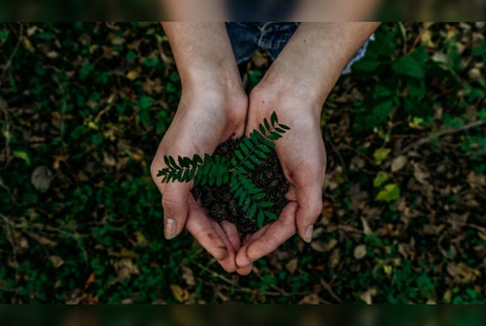 Athens-Clarke County Announces Waste Service Pause for Earth Day, Reveals Revised Pick-Up Schedule