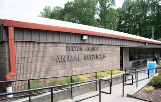 Atlanta and Fulton County at Impasse Over Animal Control Services, Leaving Residents and Strays Unassisted