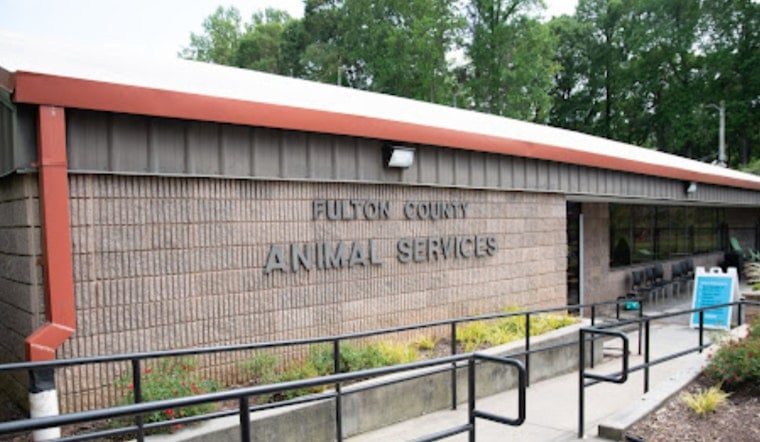 Atlanta and Fulton County at Impasse Over Animal Control Services, Leaving Residents and Strays Unassisted