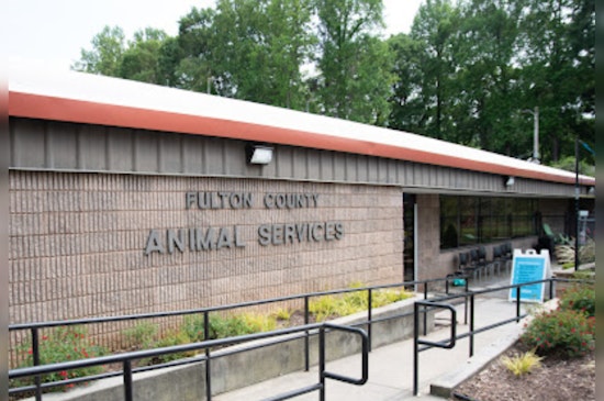 Atlanta City Council Approves Measure to Restore Fulton County Animal Services Amid Financial Dispute