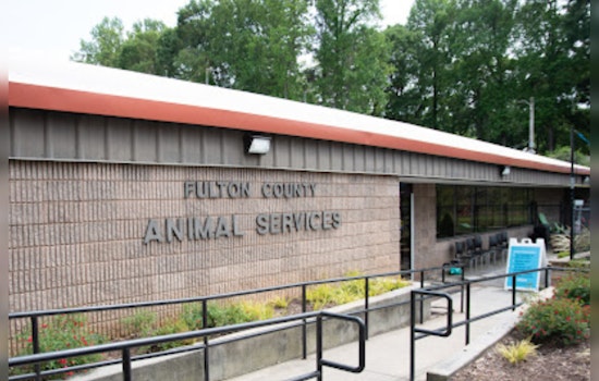 Atlanta City Council Approves Measure to Restore Fulton County Animal Services Amid Financial Dispute