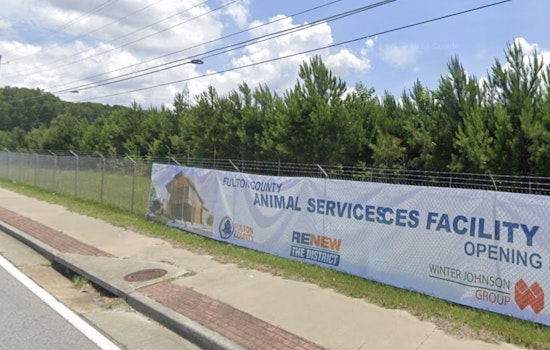 Atlanta Condemns Fulton County for Revoking Animal Services Deal Amid Tensions Over Jail Deaths