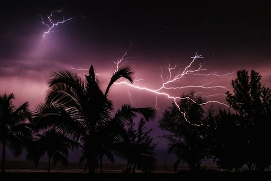 Atlanta Experts Share Crucial Tips on Handling Damage from Fallen Trees During Storm Season