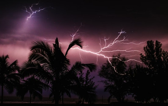 Atlanta Experts Share Crucial Tips on Handling Damage from Fallen Trees During Storm Season