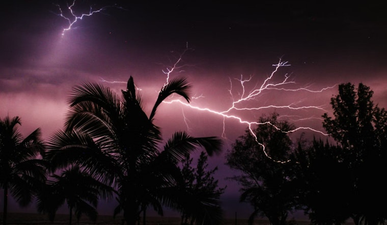 Atlanta Experts Share Crucial Tips on Handling Damage from Fallen Trees During Storm Season