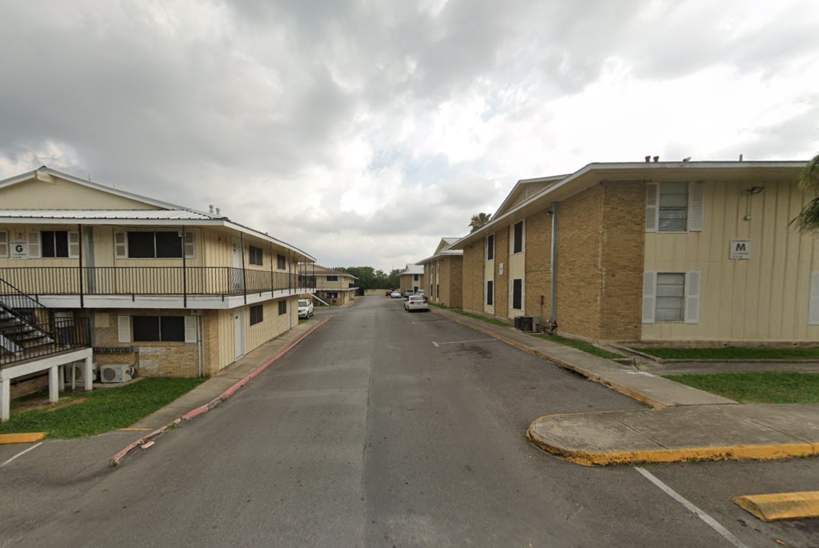 Austin Apartment Complex's Bat Infestation Spurs Criticism Over