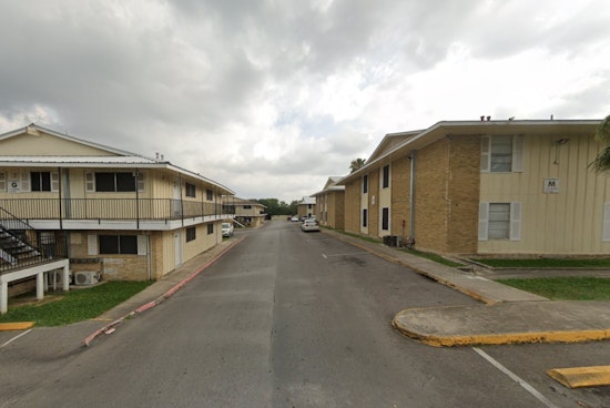 Austin Apartment Complex's Bat Infestation Spurs Criticism Over Handling by Wildlife Organizations