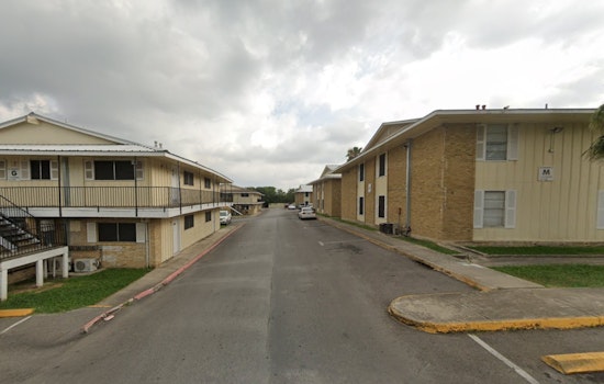 Austin Apartment Complex's Bat Infestation Spurs Criticism Over Handling by Wildlife Organizations