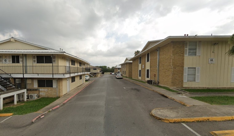 Austin Apartment Complex's Bat Infestation Spurs Criticism Over Handling by Wildlife Organizations