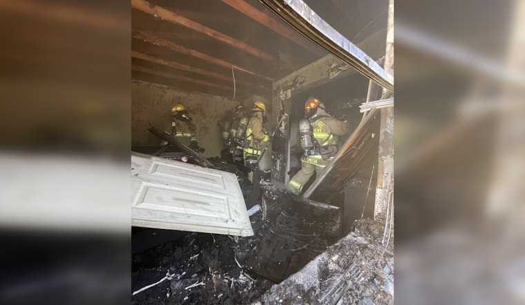 Austin Firefighters Rescue Dogs from East Side Duplex Blaze, No Injuries Reported