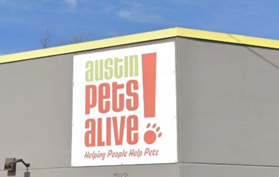 Austin Pets Alive! Employees Rally to Form Nation's Largest Animal Shelter Union Amid Expansion Plans