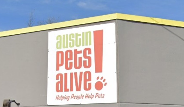 Austin Pets Alive! Employees Rally to Form Nation's Largest Animal Shelter Union Amid Expansion Plans