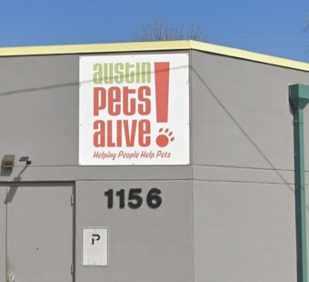 Austin Pets Alive! Workers Aim to Unionize, Seeking Better Conditions for Themselves and Their Furry Charges