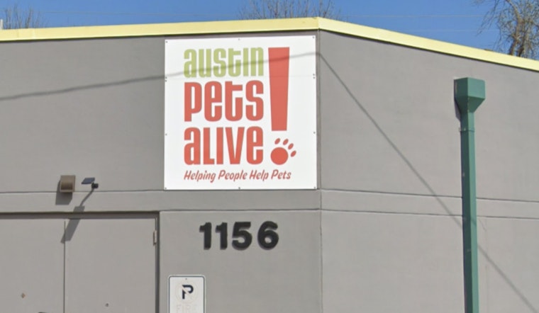 Austin Pets Alive! Workers Aim to Unionize, Seeking Better Conditions for Themselves and Their Furry Charges