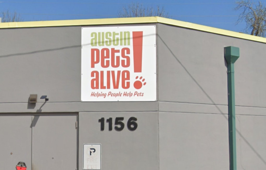 Austin Pets Alive! Workers Aim to Unionize, Seeking Better Conditions for Themselves and Their Furry Charges