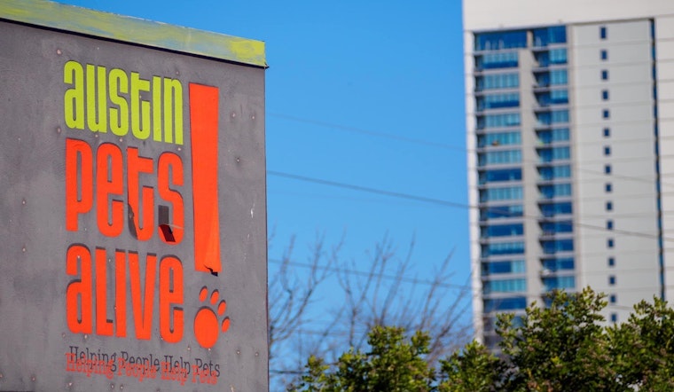 Austin's Pets Alive! Unleashes New Elgin Hub in Grand Expansion to Save More Texas Animals
