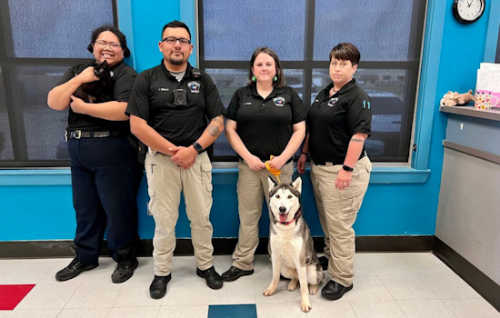 Bedford Celebrates National Animal Control Officer Week with Adoptable Pets Showcase