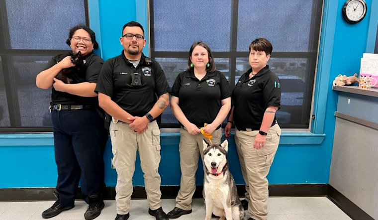 Bedford Celebrates National Animal Control Officer Week with Adoptable Pets Showcase