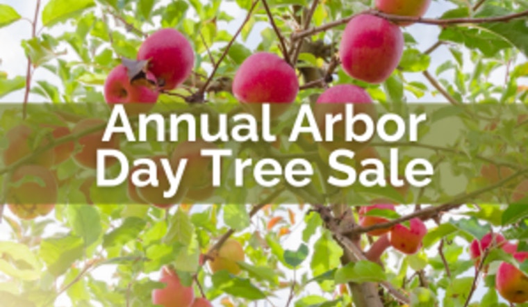 Blaine Arbor Day Tree Sale Aims to Boost Local Environment, Starting April 1