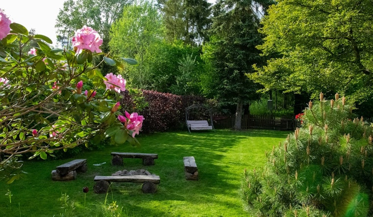 Blaine Proposes New Landscape Ordinance to Govern Greenspaces and Cultivate Urban Sustainability