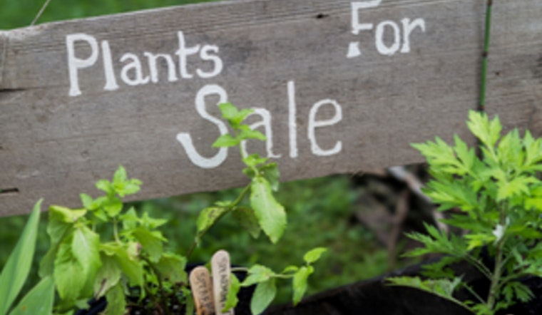 Blaine's Soil and Sunshine Garden Club Blossoms with Community Spirit, Scholarships, and Upcoming Plant Sale