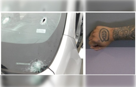 Boston Gang Member "Bubba" Pleads Guilty to Racketeering and Drug Trafficking Charges