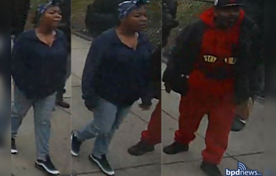 Boston Police Seek Public's Help to Identify Suspects in Roxbury Aggravated Assault