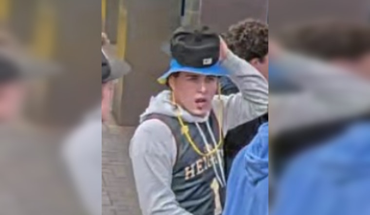 Boston Transit Police Seek Public's Help to Identify Suspect in Park Street Station Assault Case